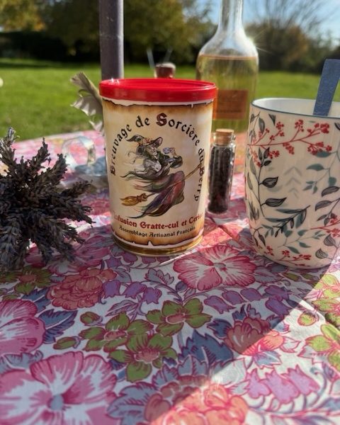 Breuvage de Sorcière du Berry. Infusion Gratte-cul et Cerise.